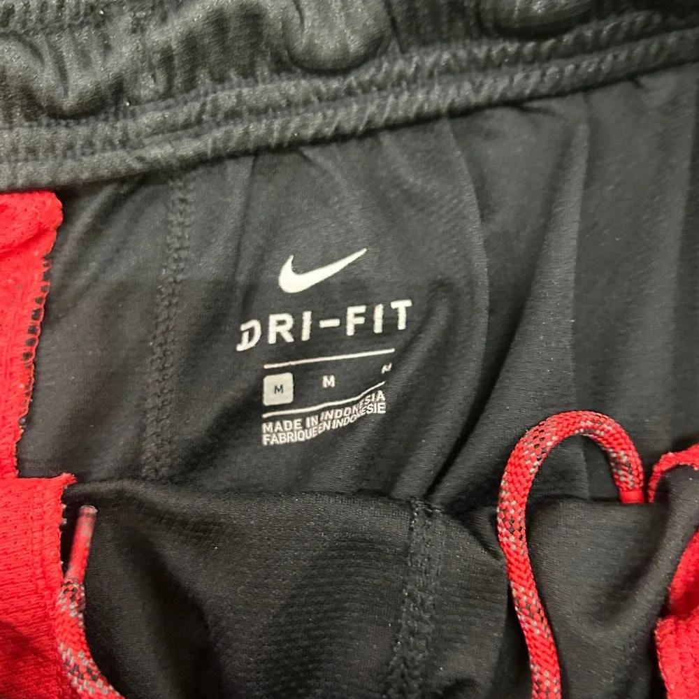 Nike Ohio State Buckeyes Dri-FIT Athletic Shorts Mens Medium Black Red Training